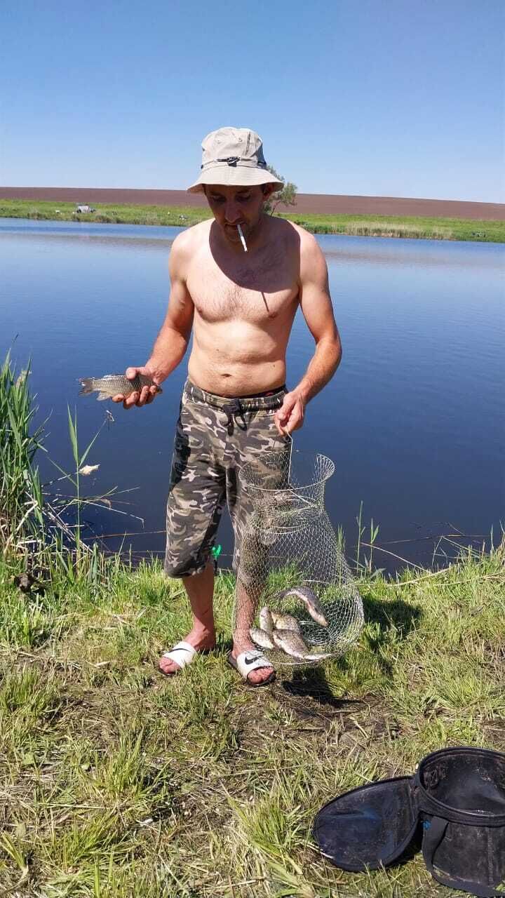  48336967  , 37 ,    