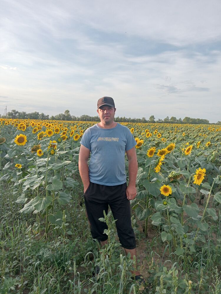 ���� 54219687 ������� �����, 32 ����, ���� ���������� � ������