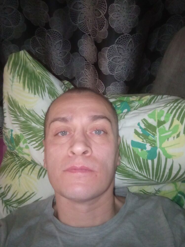  40084107  , 49 ,    