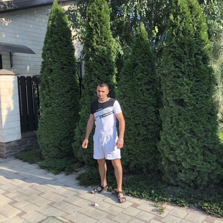 ���� 26645347 ������� �������, 43 ����, ���� ���������� � �����