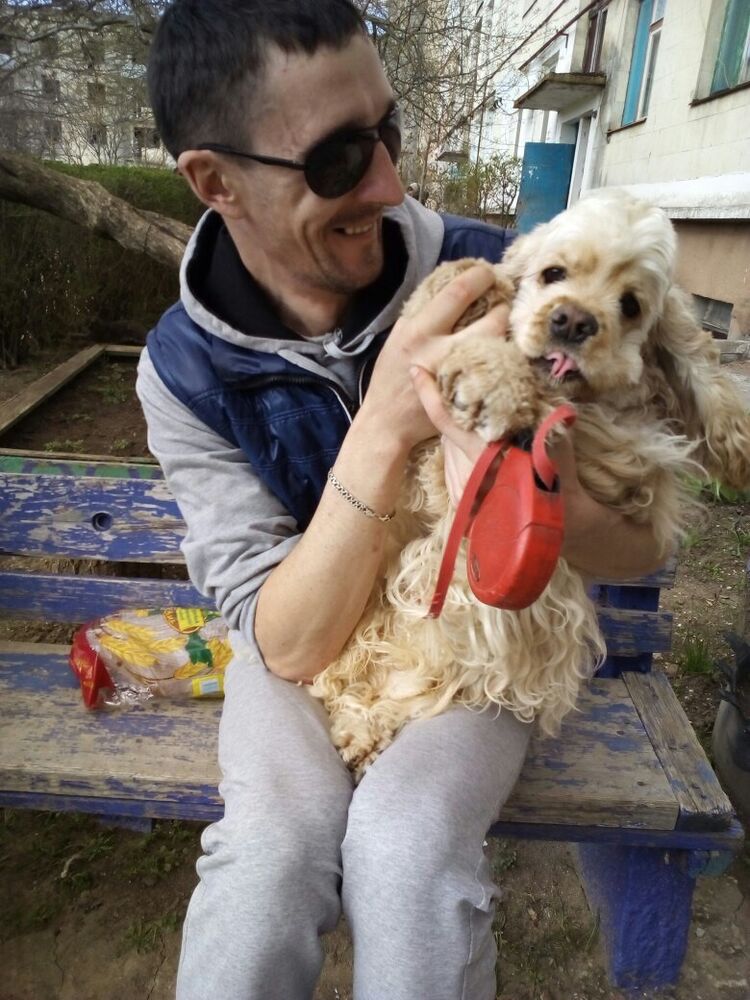 ���� 10450387 ������� �������, 36 ���, ���� ���������� � ������