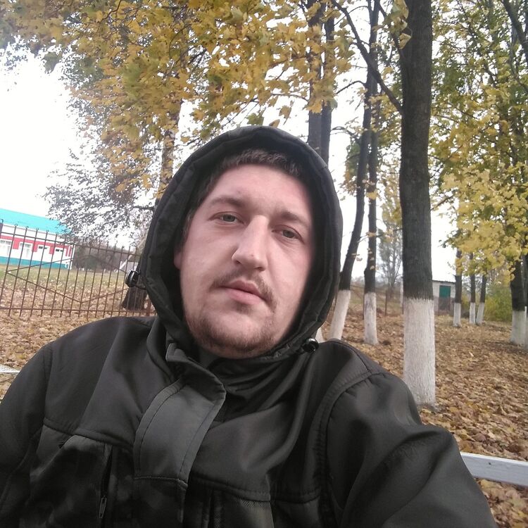 ���� 17856197 ������� ���������, 31 ���, ���� ���������� � ���������