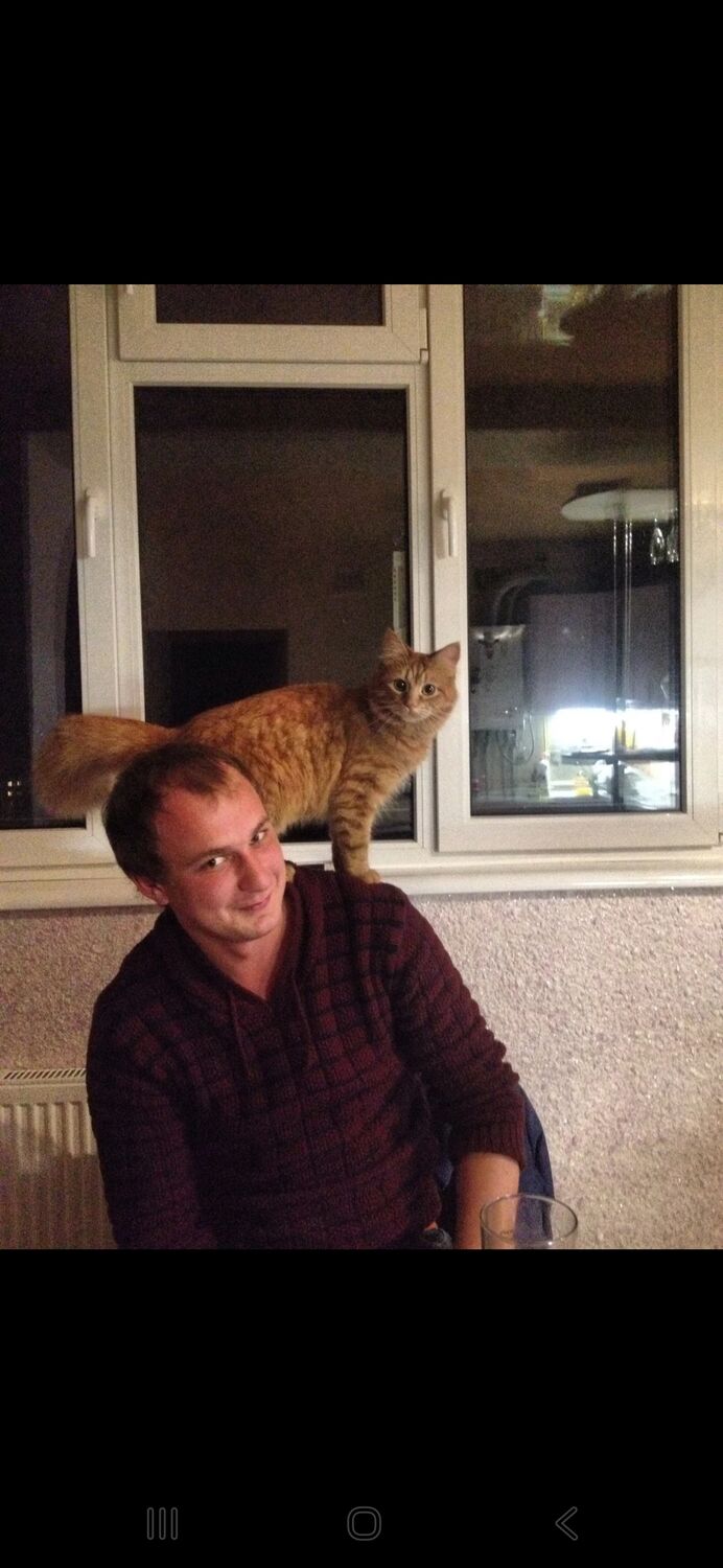 ���� 55662397 ������� ������, 34 ����, ���� ���������� � �����������