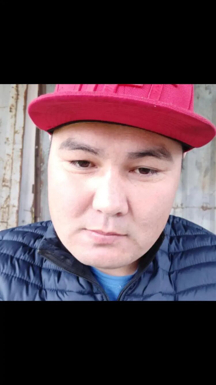  44502577  , 38 ,    