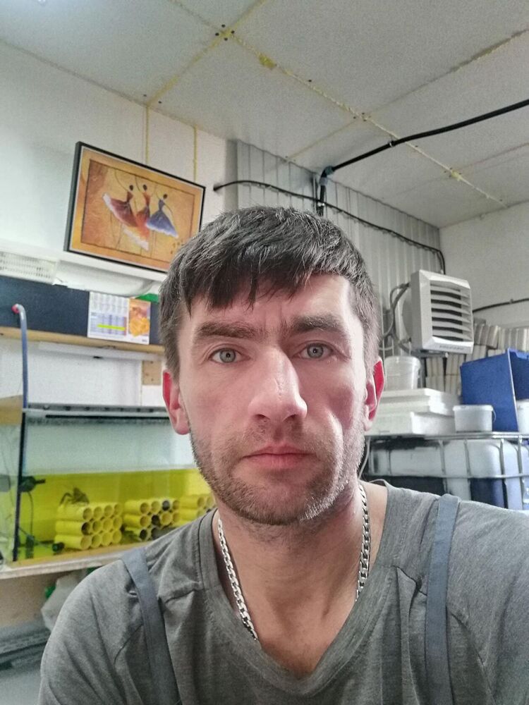  31325157  , 43 ,    