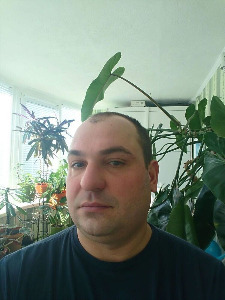 44727887  , 42 ,    