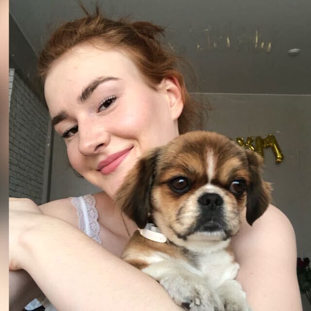 ���������� ������, ���� ������� ��������, 26 ���, ������������ ��� ������, ����� � ���������