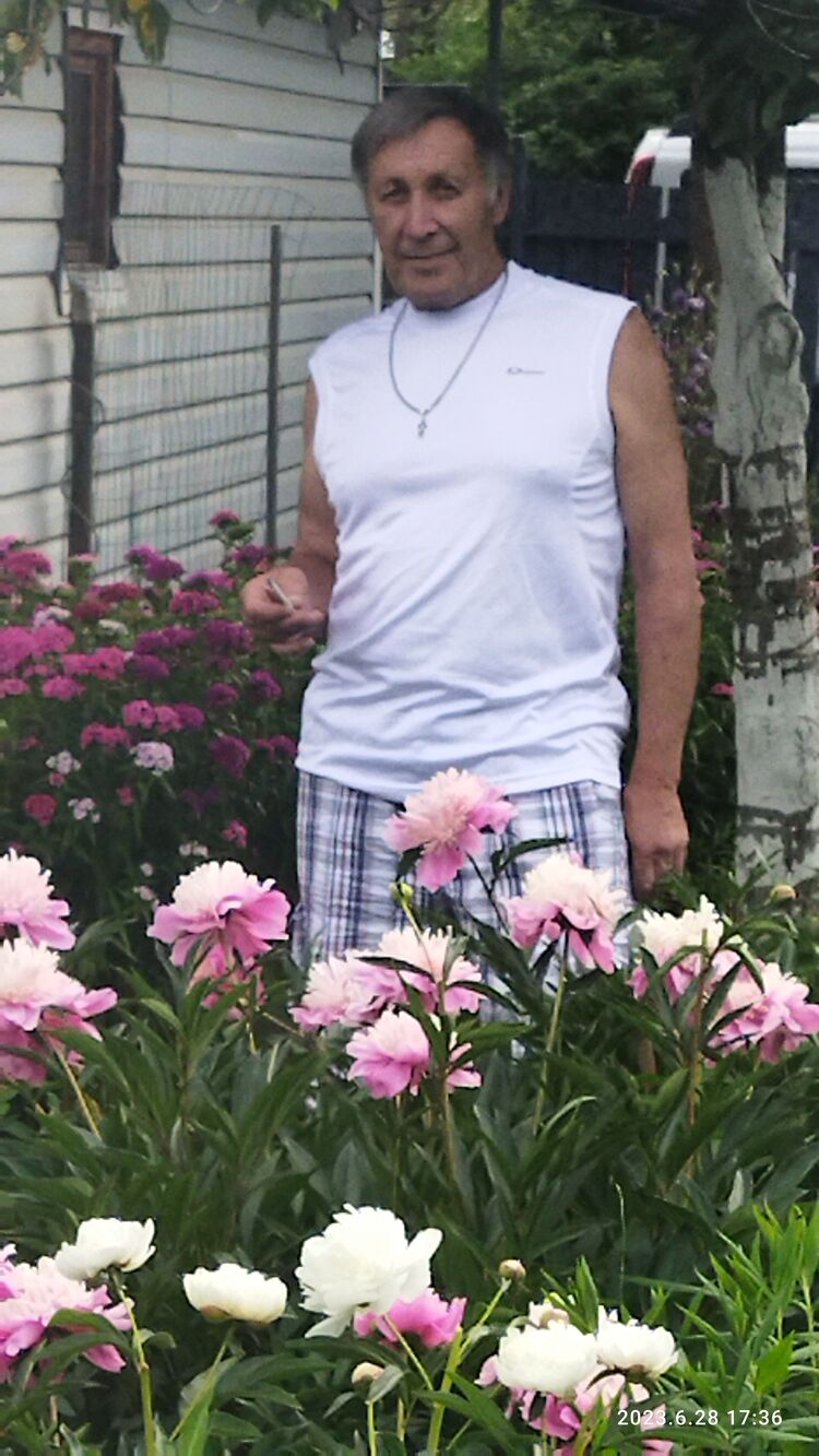 ���������� �����-���������, ���� ������� �������, 66 ���, ������������ ��� ������, ����� � ���������