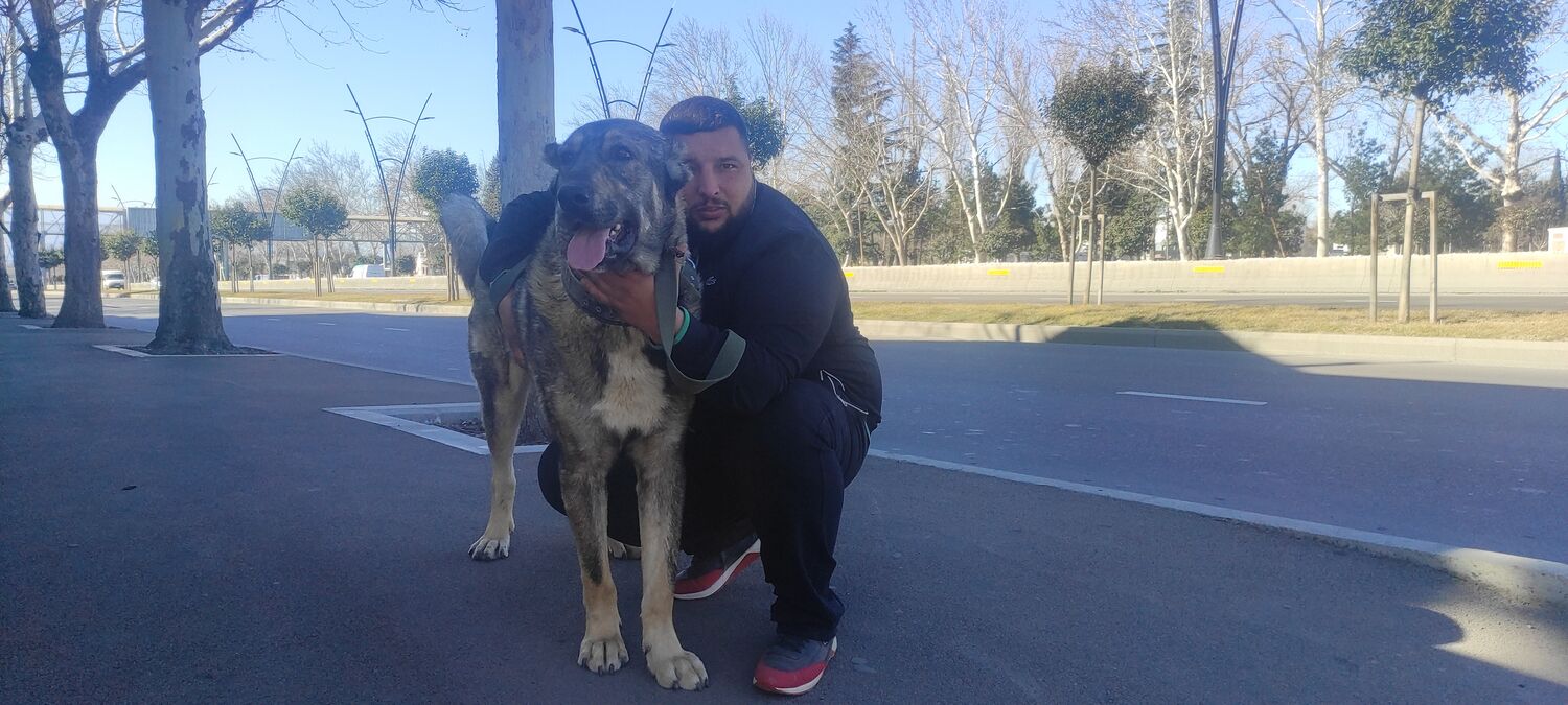 ���� 25372997 ������� NODARI, 35 ���, ���� ���������� � �������