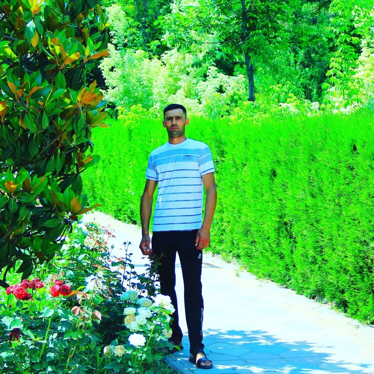  -,   Farhod, 35 ,   ,   