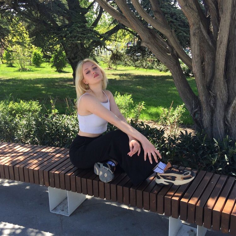  -,   , 24 ,   ,   