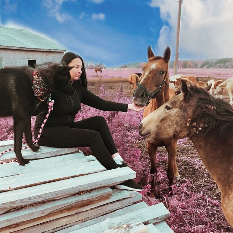 ���������� �������, ���� ������� Catalina, 34 ����, ������������ ��� ������, ���������