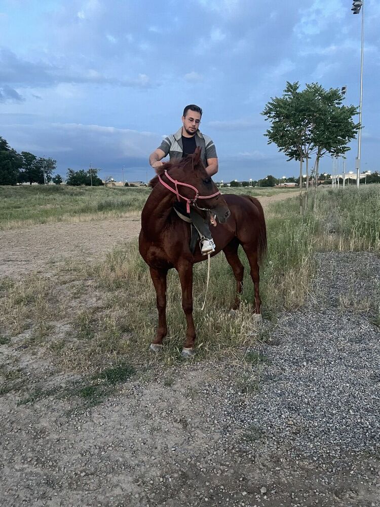 ���������� �������, ���� ������� Sodiq, 29 ���, ������������ ��� ������, ����� � ���������, c�������� ���������