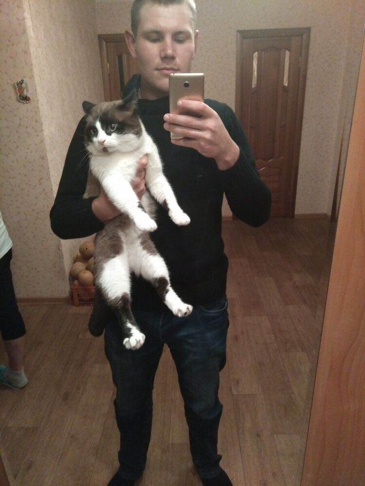 ���� 20006697 ������� �����, 27 ���, ���� ���������� � ���������