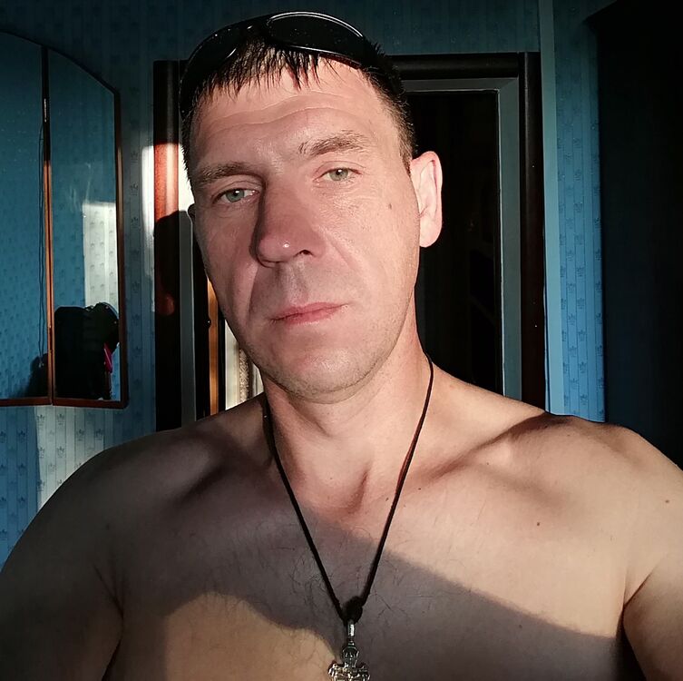  28133687  , 43 ,    