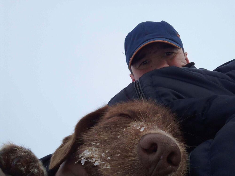  54647917  , 45 ,    --