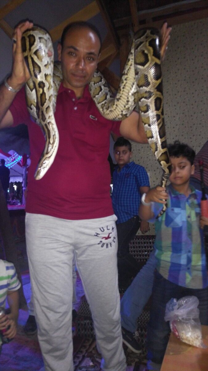  17925417  Hesham, 46 ,    Cabaret