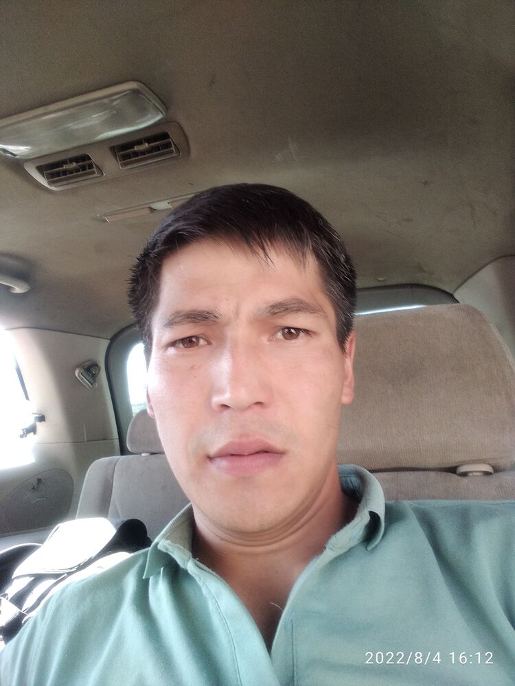 ���� 31299177 ������� ����, 33 ����, ���� ���������� � �������