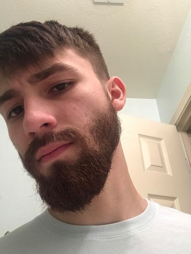 ���������� ��������������, ���� ������� ����, 38 ���, ������������ ��� ������, ����� � ���������