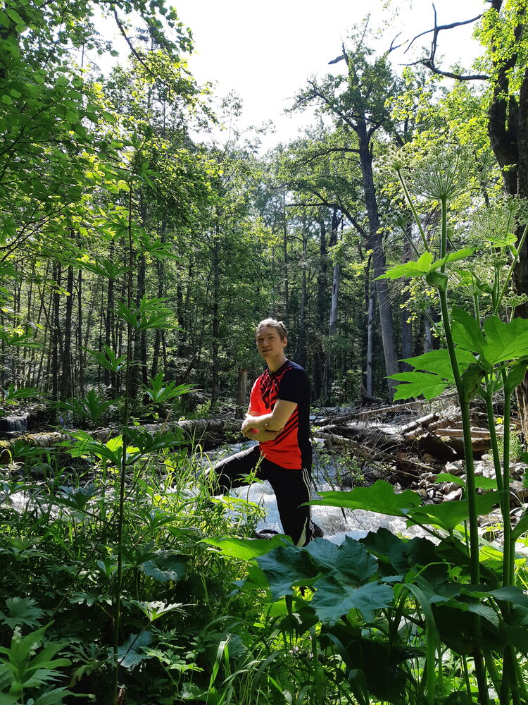 ���������� ���������, ���� ������� ���������, 34 ����, ������������ ��� ������, ����� � ���������