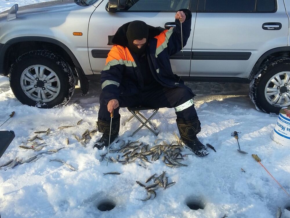 ���������� ����-���������, ���� ������� ����, 50 ���, ������������ 