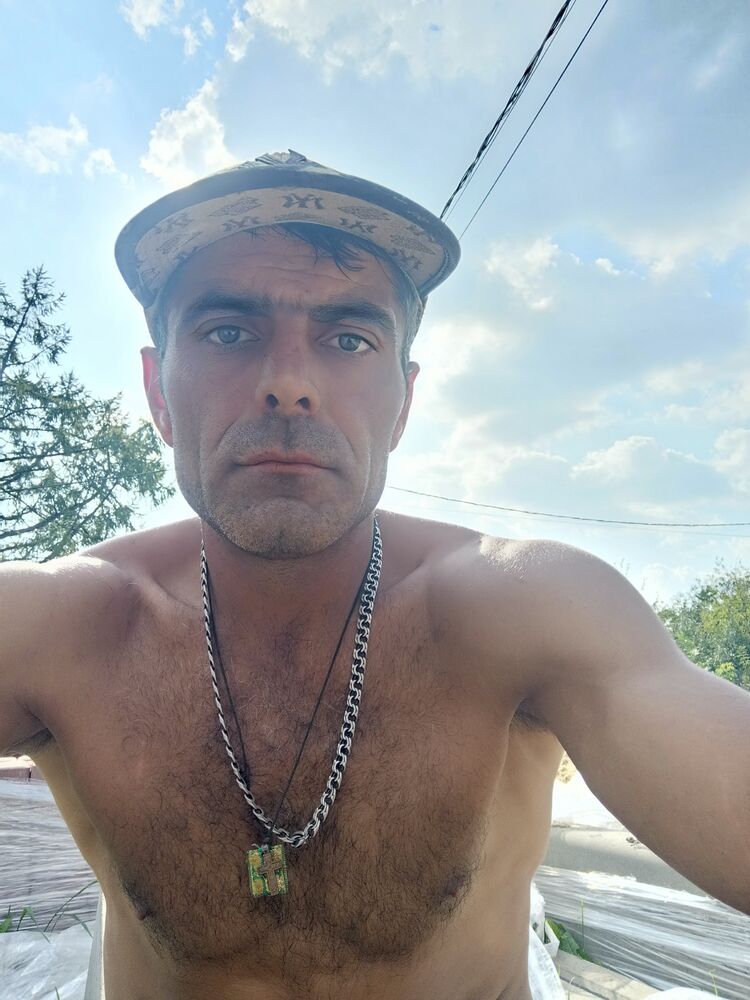  47500277  , 41 ,    