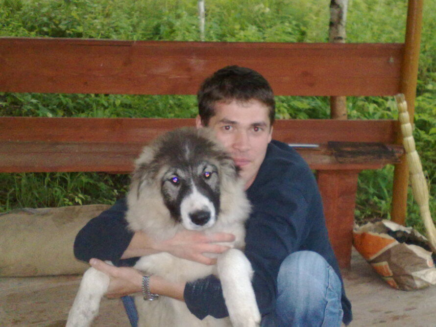 ���������� �����, ���� ������� ������, 39 ���, ������������ ��� ������, ����� � ���������, c�������� ���������