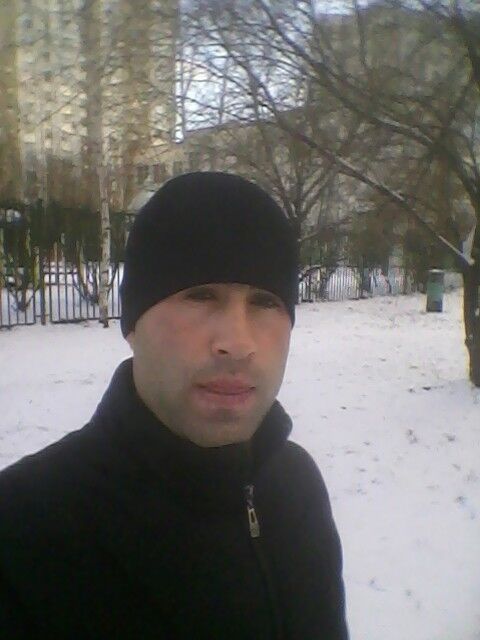  14338297  Suphidini, 33 ,    