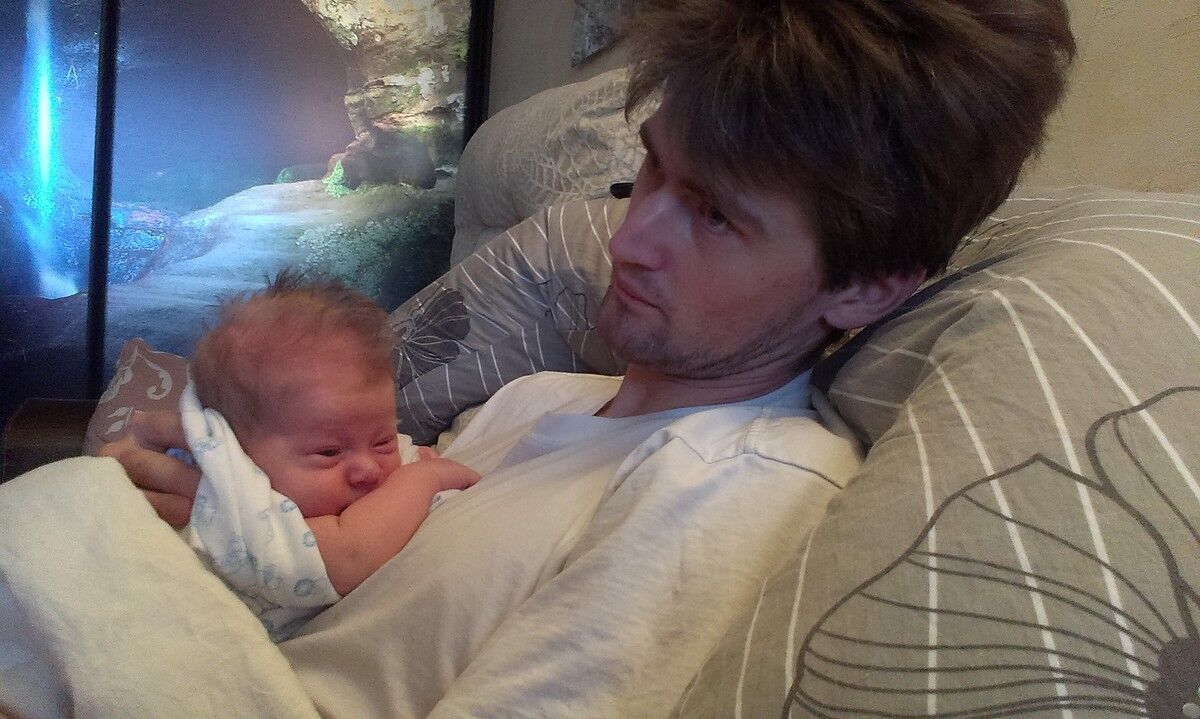 ���������� �������, ���� ������� �����, 42 ����, ������������ 