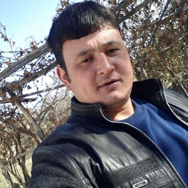  43460397  ˨, 33 ,    