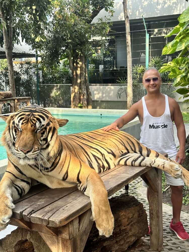 ���������� �������, ���� ������� Kemal, 49 ���, ������������ ��� ������, ����� � ���������, c�������� ���������