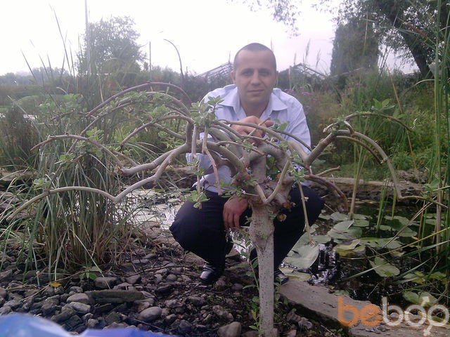  ,   , 43 ,   