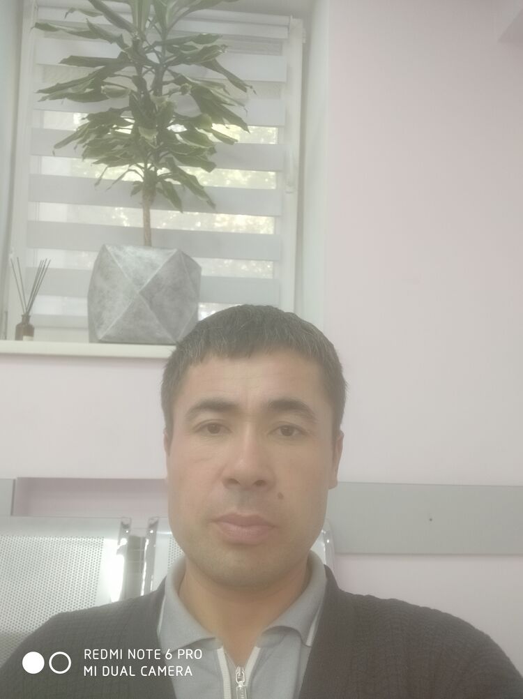  39036037  , 39 ,    