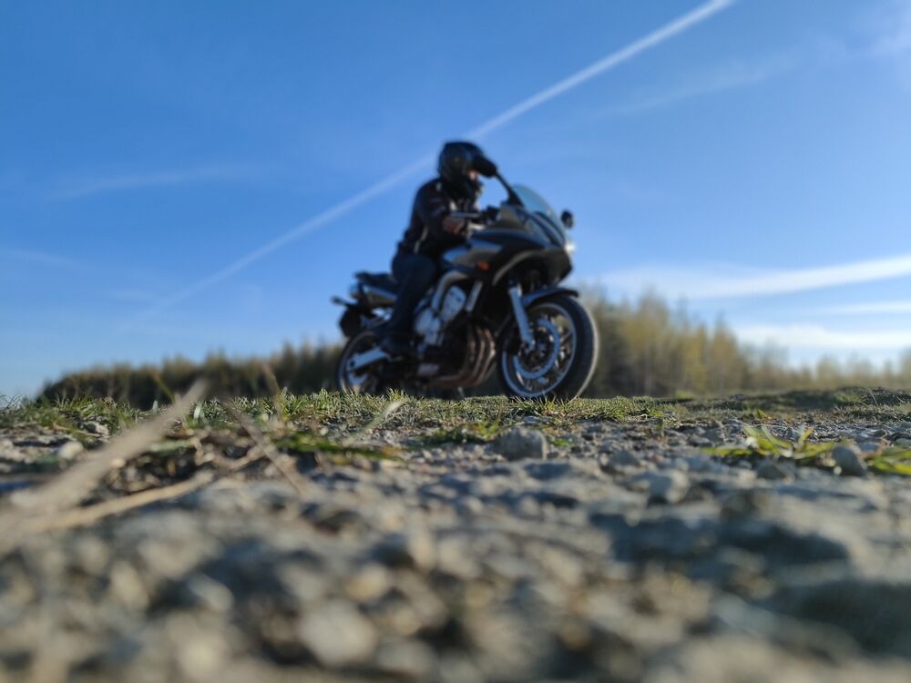  41714487  , 49 ,    