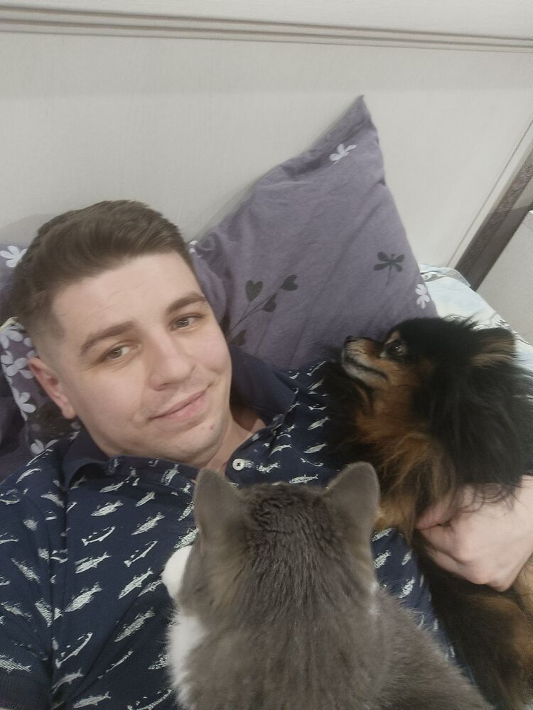  36556387  , 33 ,    
