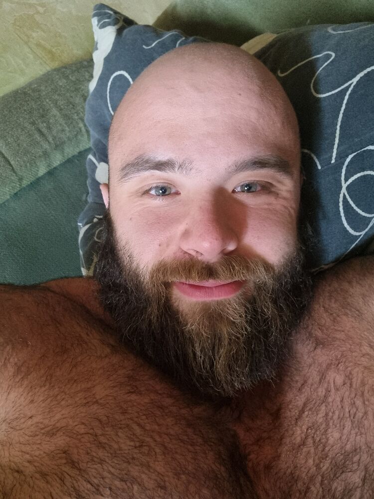  45435317  , 33 ,    