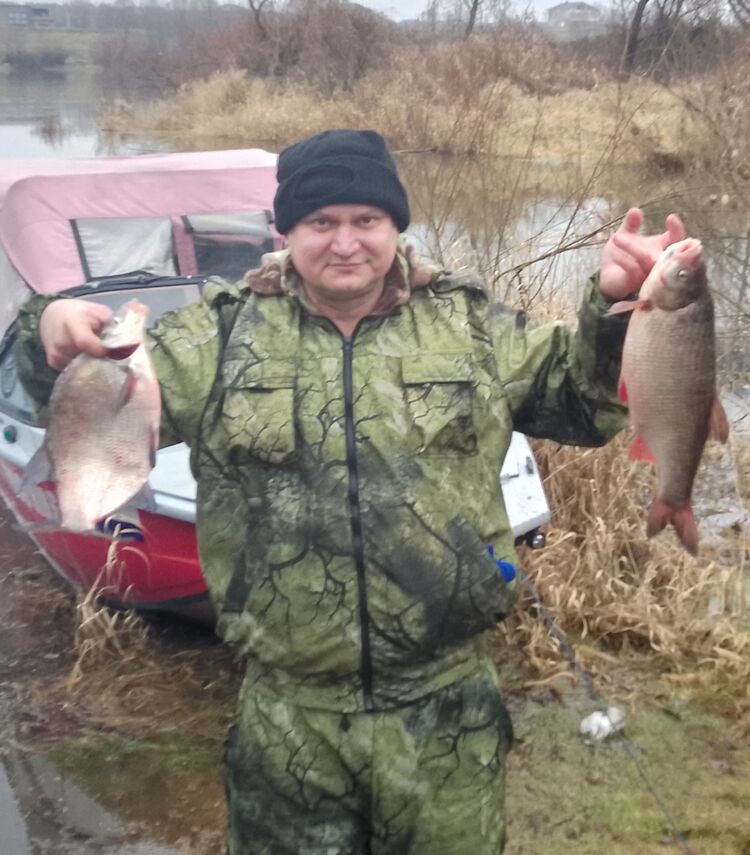 ���� 52646917 ������� �����, 43 ����, ���� ���������� � ������