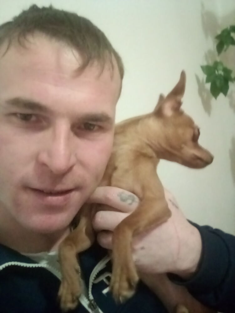 ���� 24547747 ������� ���������, 34 ����, ���� ���������� � ����-���