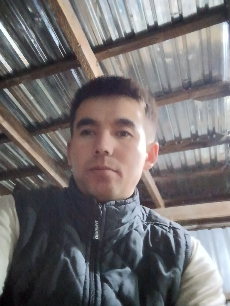 ���� 39513047 ������� ������, 29 ���, ���� ���������� � �������