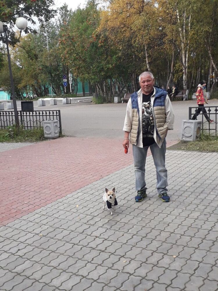 ���� 25177317 ������� ������, 60 ���, ���� ���������� � ������