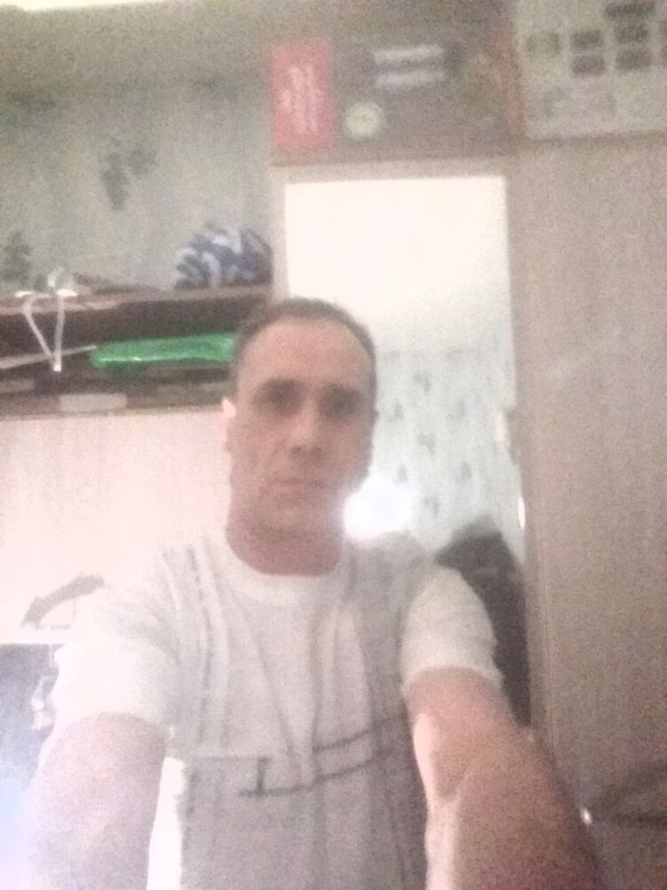  31334567  , 55 ,    