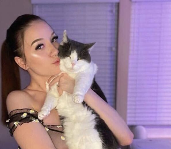 ���� 37935627 ������� �����, 26 ���, ���� ���������� � ������