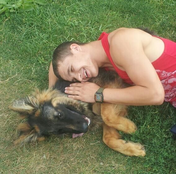 ���������� �����, ���� ������� Brus, 31 ���, ������������ ��� ������, ����� � ���������, c�������� ���������