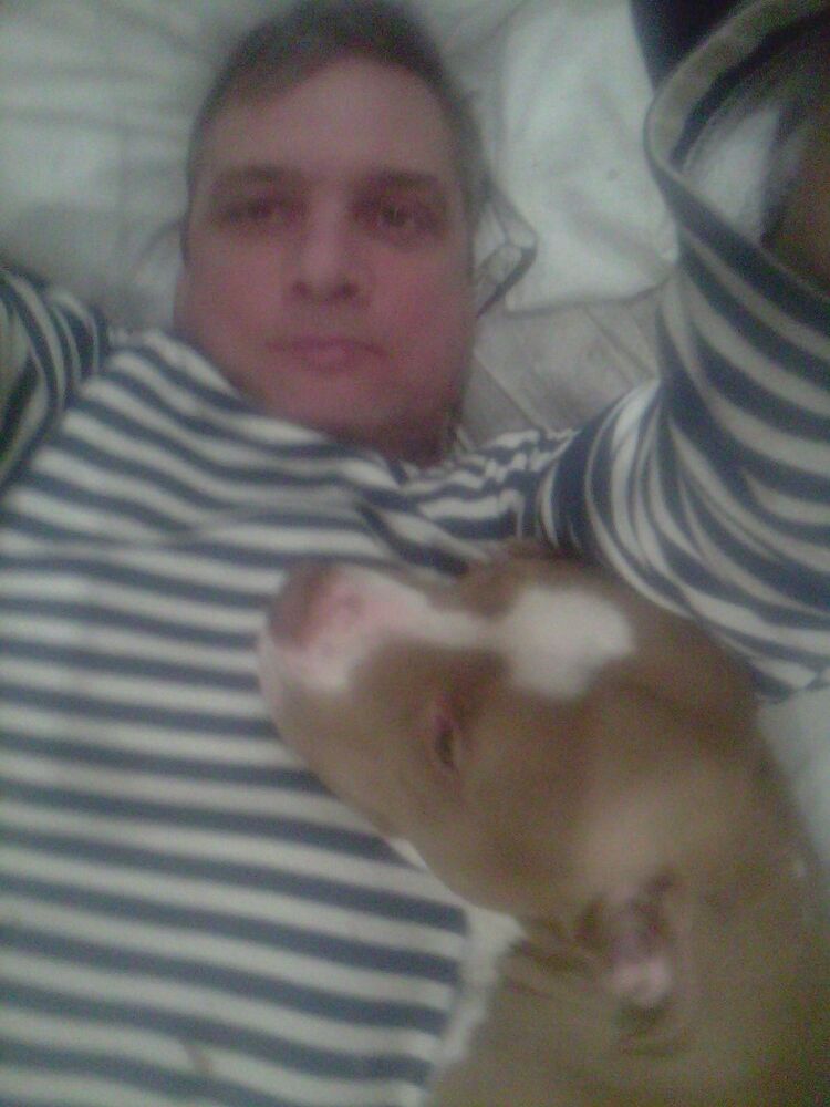 ���������� �����-���������, ���� ������� ������, 65 ���, ������������ ��� ������, ����� � ���������, c�������� ���������