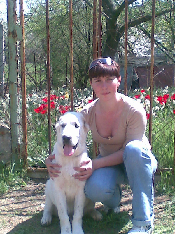 ���� 4202507 ������� ������, 40 ���, ���� ���������� � �����������