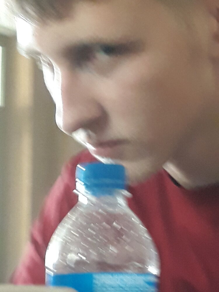  15338807  , 24 ,    