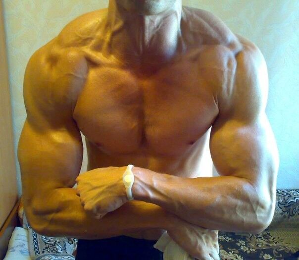 ���� 4167867 ������� Doni, 32 ����, ���� ���������� � �������