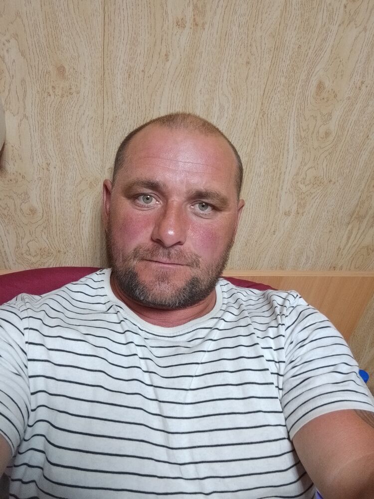  52528377  , 41 ,    