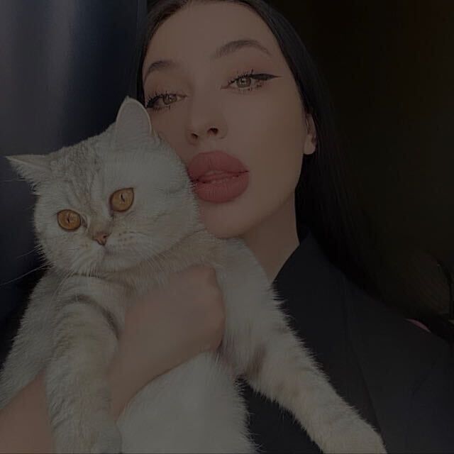 ���������� ������, ���� ������� ����, 27 ���, ������������ ��� ���������