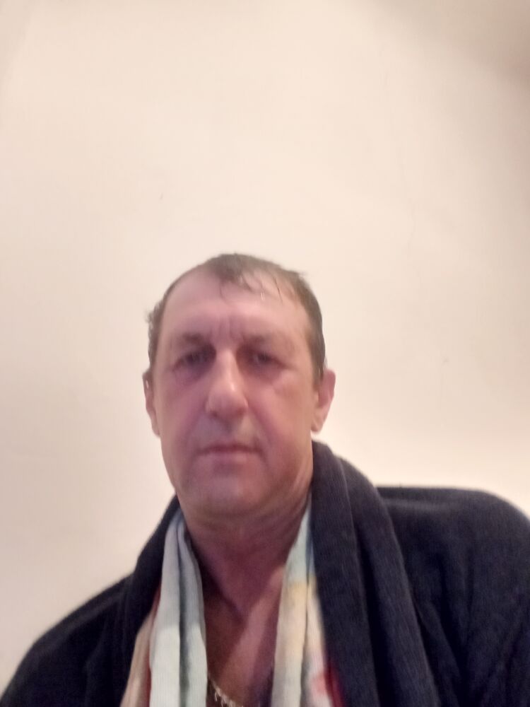  36503347  , 53 ,    